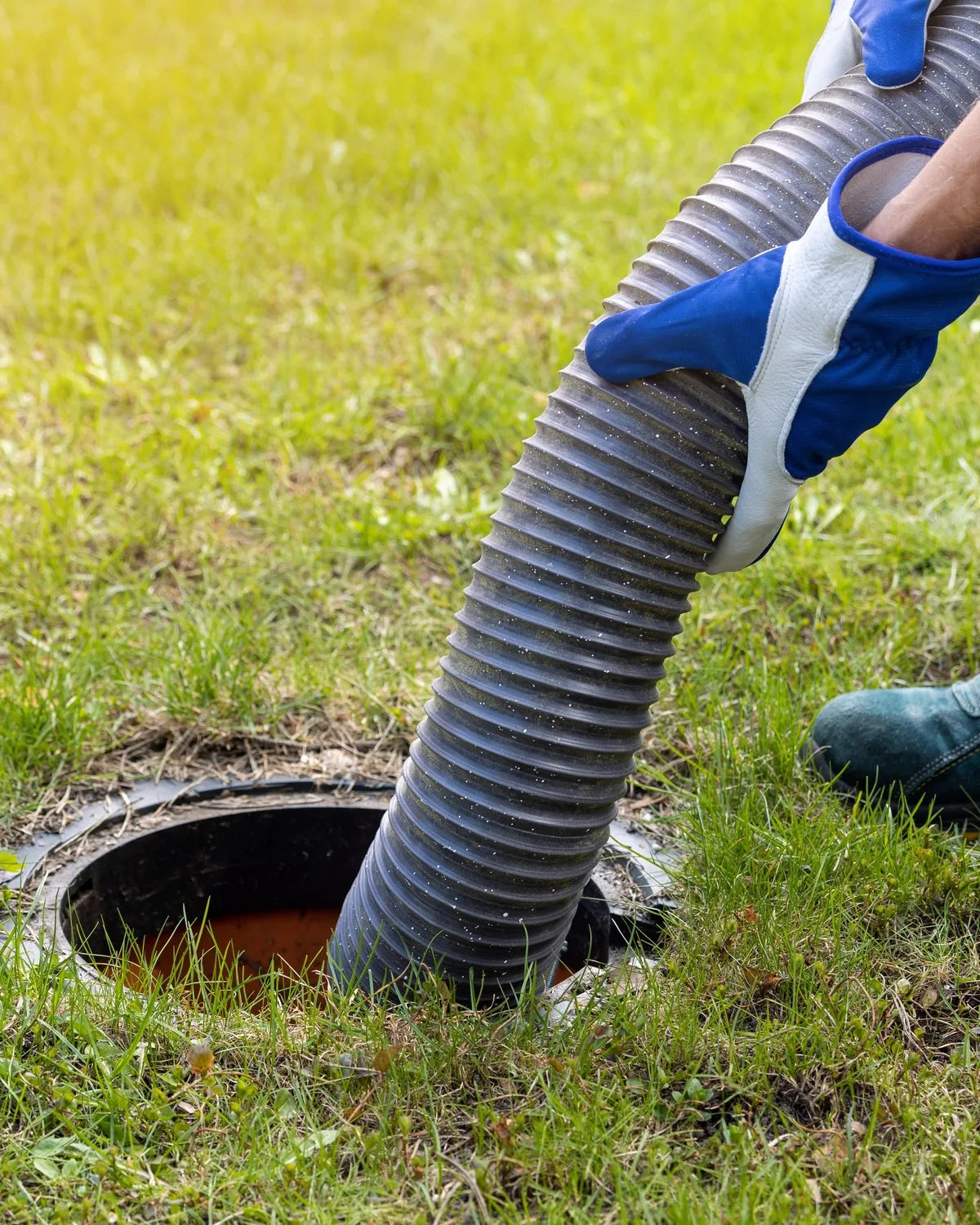 Gloved hand feeding a pump hose into an open septic tank in a lawn